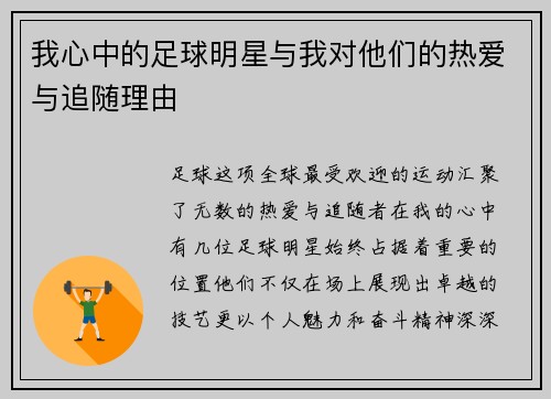 我心中的足球明星与我对他们的热爱与追随理由